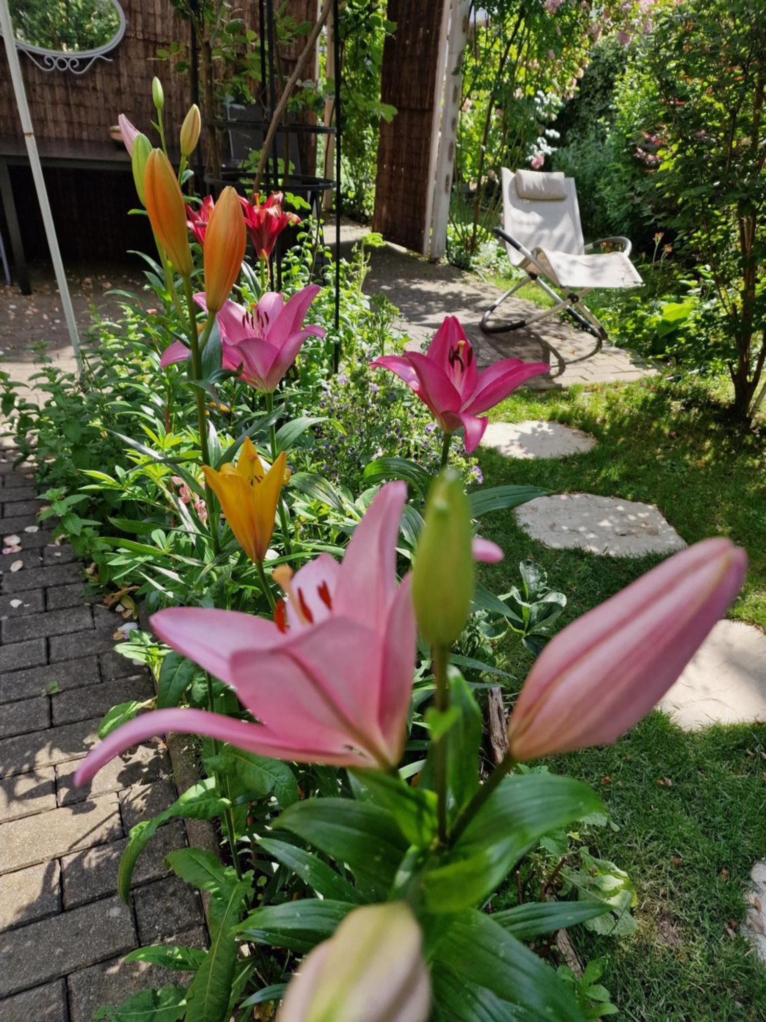 Ferienwohnung Domschatz Naumburg  Exteriör bild